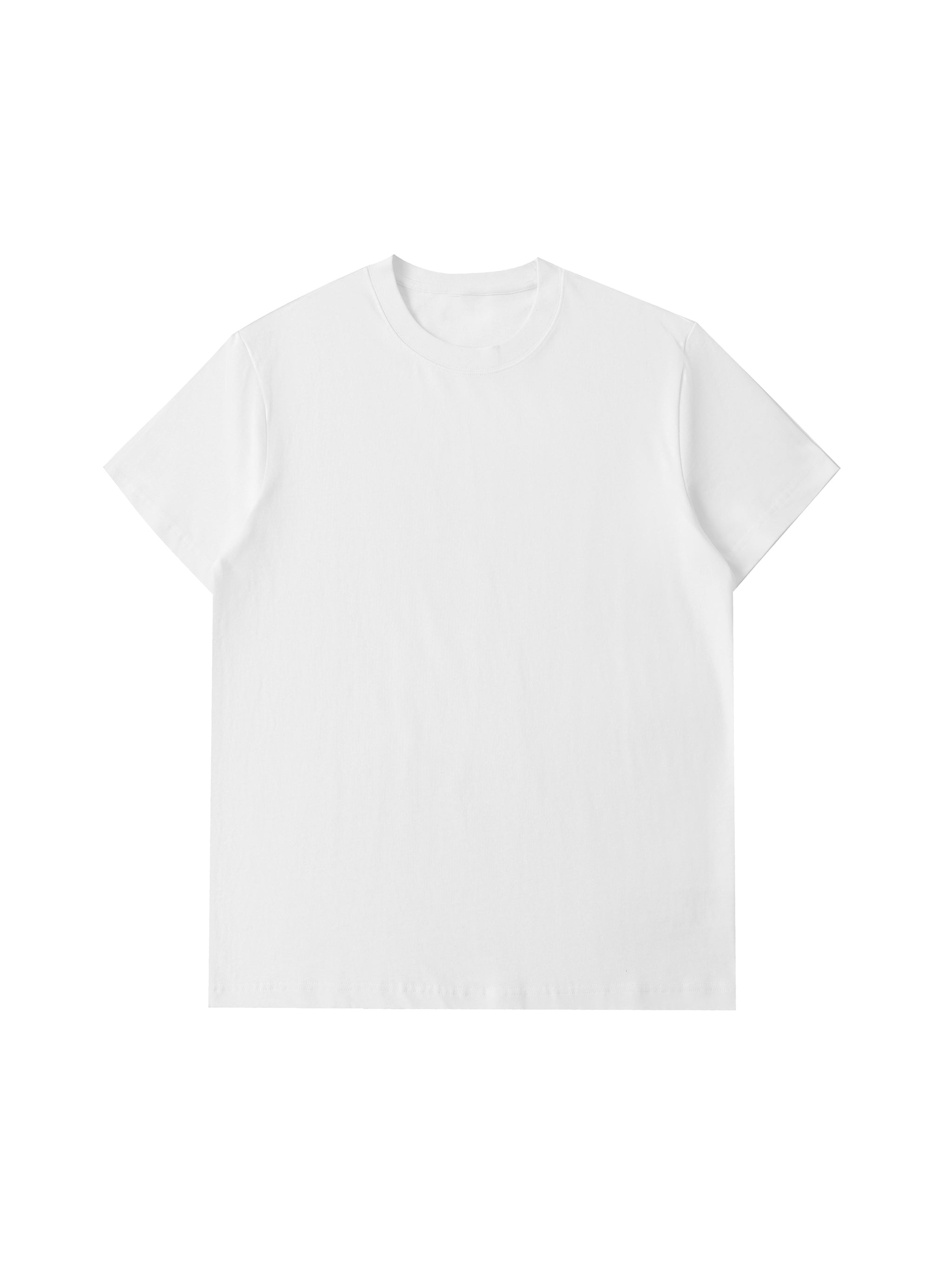 RT0034-C001-V2 / ESSENTIAL HEAVYWEIGHT COTTON T-SHIRT 330G 9.7OZ DTG PRINT LA