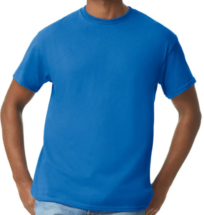 DG015 / MEN'S ACTIVEWEAR T-SHIRT G5000 DTF PRINT RUSH SERVICE LA