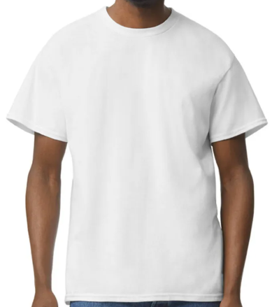 DG015 / MEN'S ACTIVEWEAR T-SHIRT G5000 DTF PRINT RUSH SERVICE LA