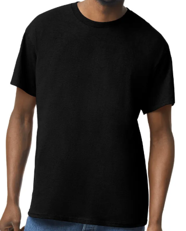 DG015 / MEN'S ACTIVEWEAR T-SHIRT G5000 DTF PRINT RUSH SERVICE LA