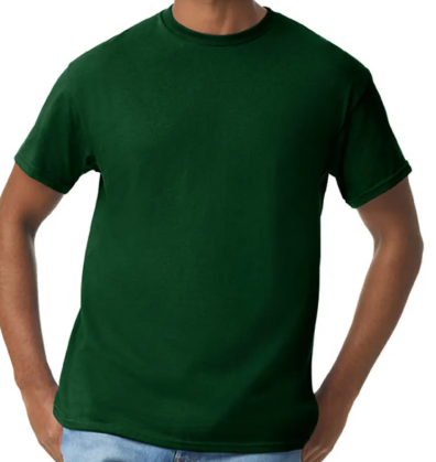 DG015 / MEN'S ACTIVEWEAR T-SHIRT G5000 DTF PRINT RUSH SERVICE LA