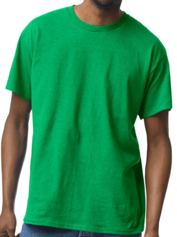 DG015 / MEN'S ACTIVEWEAR T-SHIRT G5000 DTF PRINT RUSH SERVICE LA