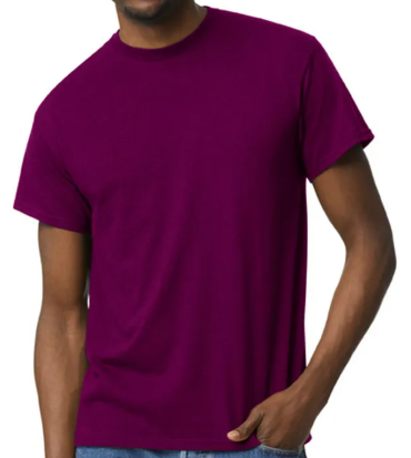 DG015 / MEN'S ACTIVEWEAR T-SHIRT G5000 DTF PRINT RUSH SERVICE LA