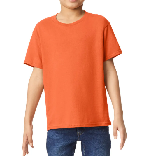 5000B / YOUTH ACTIVEWEAR T-SHIRT COTTON DTF PRINT RUSH SERVICE LA