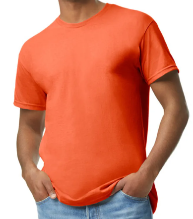 DG015 / MEN'S ACTIVEWEAR T-SHIRT G5000 DTF PRINT RUSH SERVICE LA